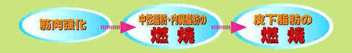 Ђ萮@@dbOR-TRXW-UXWW